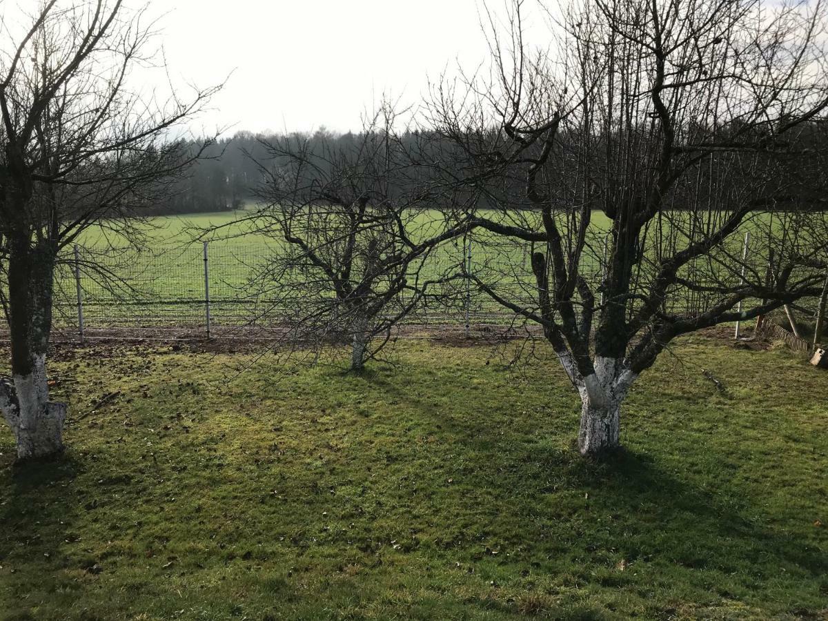 Pension Am Waldeck Hohentengen Esterno foto